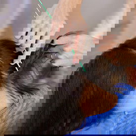 check for head lice - Lice Clinics Long Island